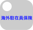 �C�O���݈��ی�